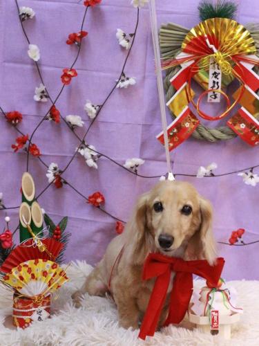 20230108ロイくん